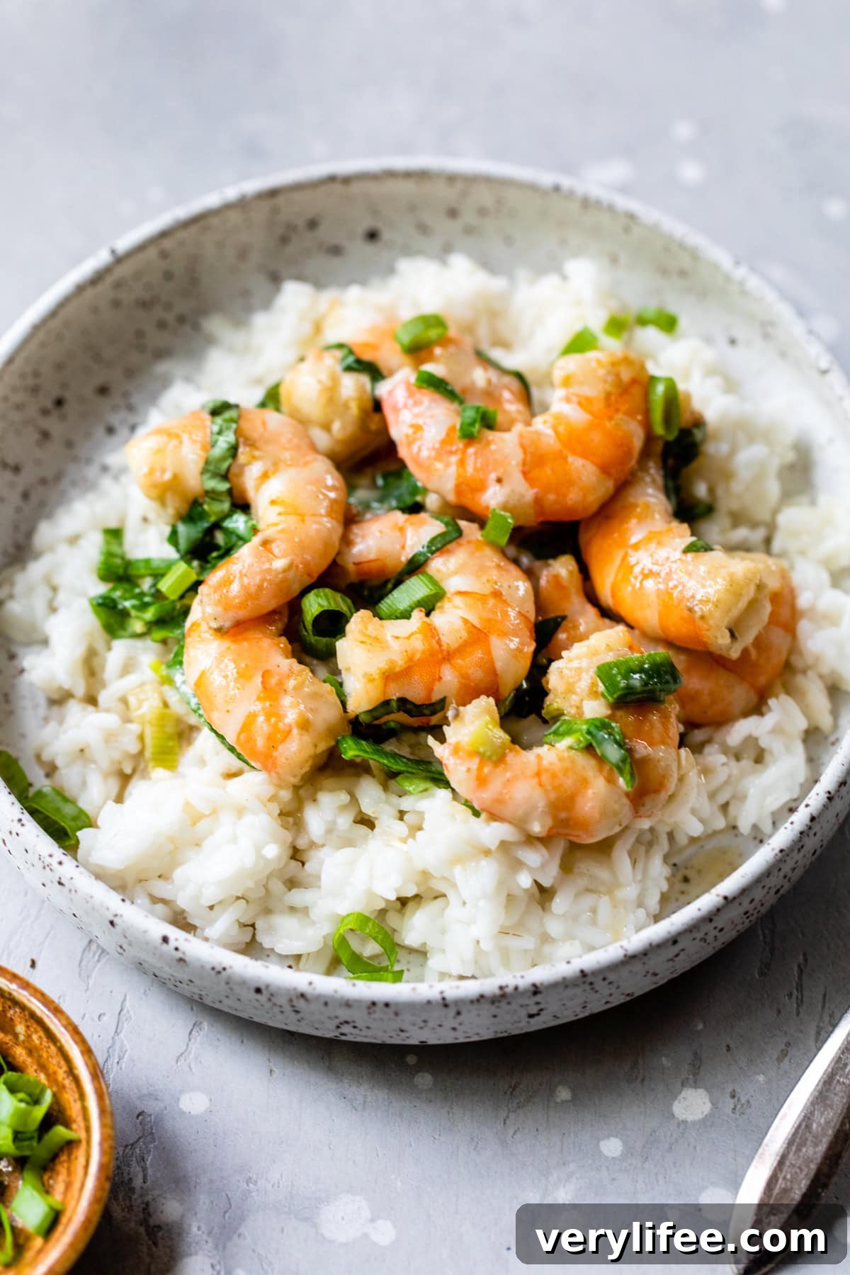 Shrimp in Thai Green Curry with Coconut Milk 8 Green Curry Shrimp