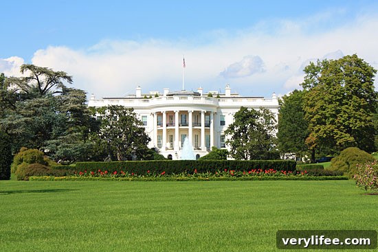 Eating Through Washington, DC: A Local Food Guide 2 img 22082 1