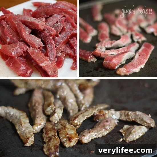 thinly sliced steak with onions