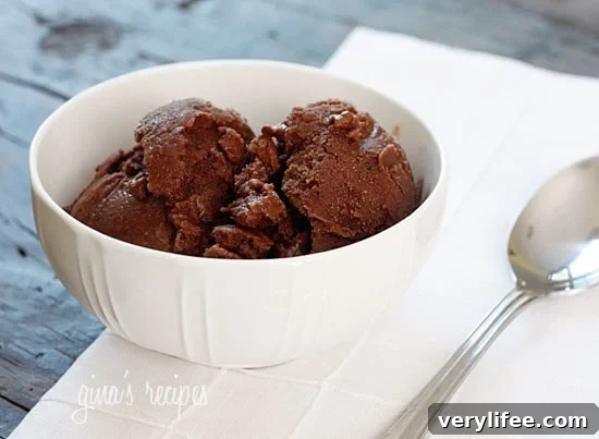 Silky Dark Chocolate Sorbet Recipe 2 A bowl of chocolate sorbet with a spoon.