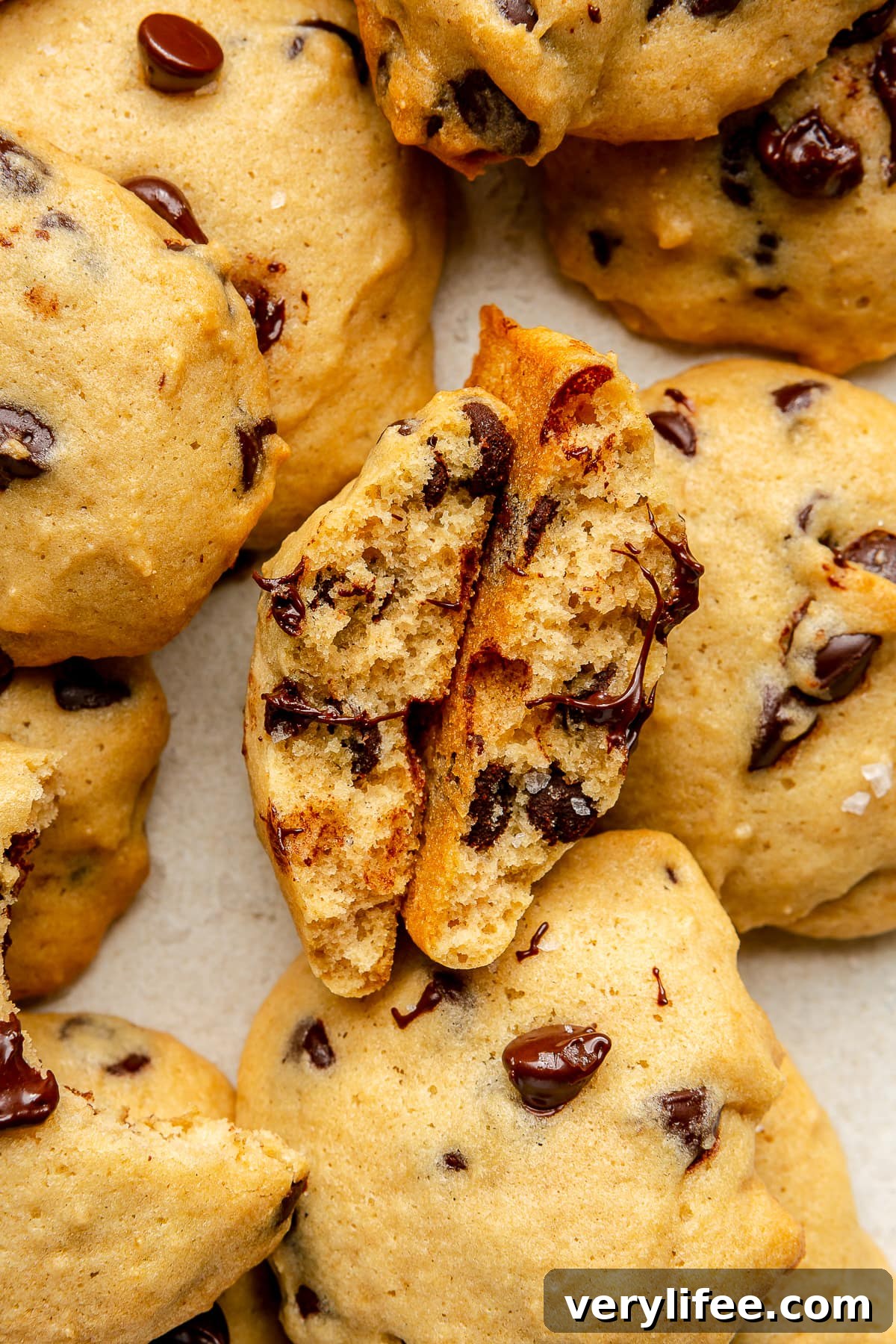 Chewy Low-Fat Chocolate Chip Cookies Recipe 13 Chocolate Chip Cookies