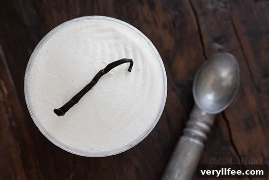 Homemade Low-Fat Vanilla Bean Frozen Yogurt 3 Low Fat Vanilla Bean Frozen Yogurt