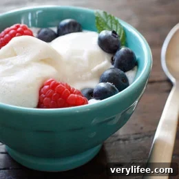 Homemade Low-Fat Vanilla Bean Frozen Yogurt 4 Vanilla bean frozen yogurt scoop
