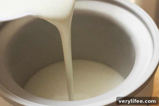 Homemade Low-Fat Vanilla Bean Frozen Yogurt 6 Serving suggestion for frozen yogurt
