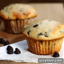 Creamy Ricotta Chocolate Chip Muffins Recipe 3 Moist chocolate chip muffins loaded with chocolate morsels in every bite. What a perfect way to start you morning if chocolate is your weakness. Also great as an afternoon snack.
