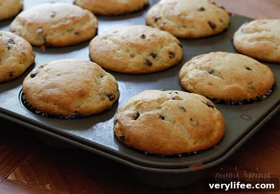 Creamy Ricotta Chocolate Chip Muffins Recipe 5 Tray of chocolate chip muffins