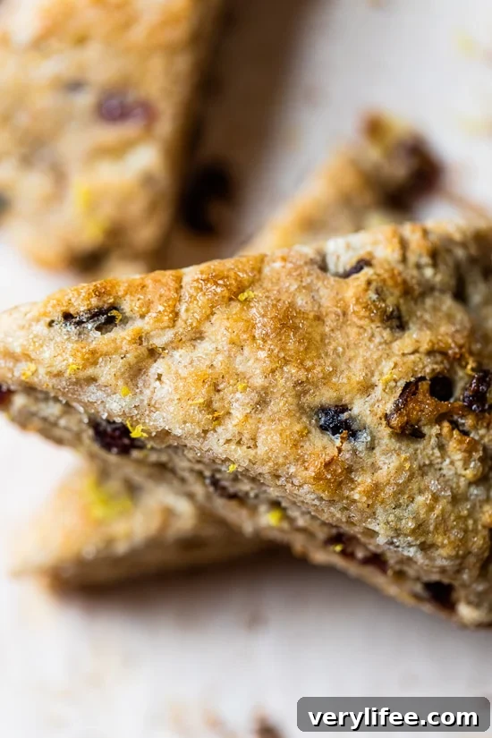 Buttery Lemon Cranberry Scones Recipe with Zesty Glaze 5 cranberry scone close up