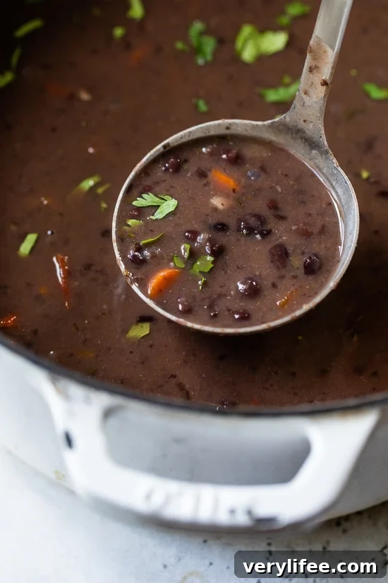 Black Bean Soup