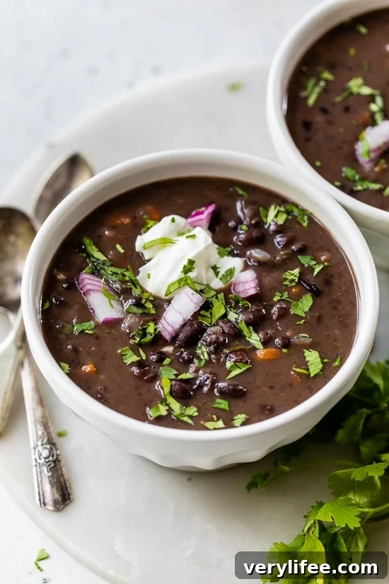 Black Bean Soup