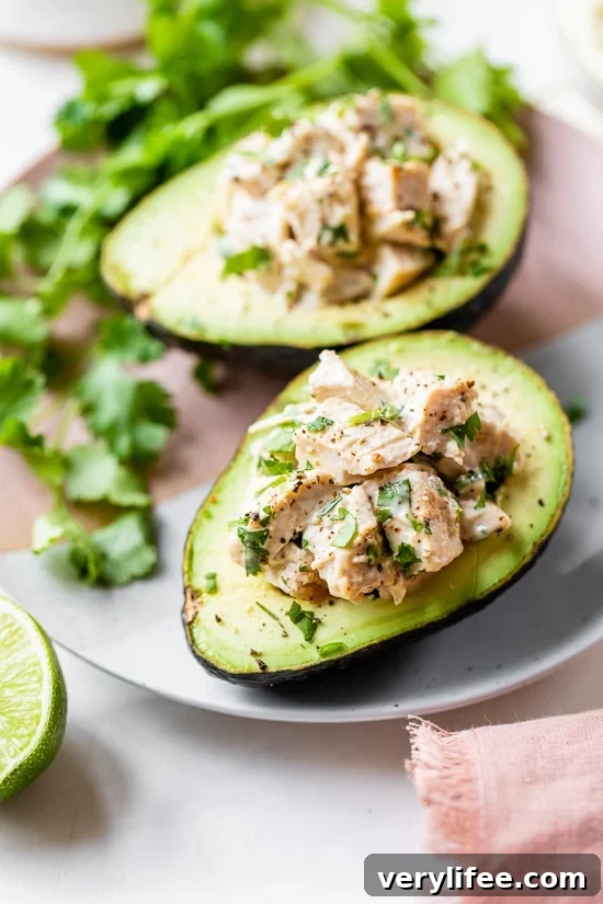 cilantro chicken salad with avocado