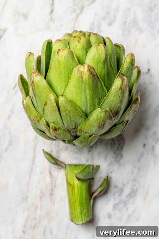 Garlic-Parmesan Stuffed Artichokes Recipe 3 Overhead view of stem cut off of artichoke