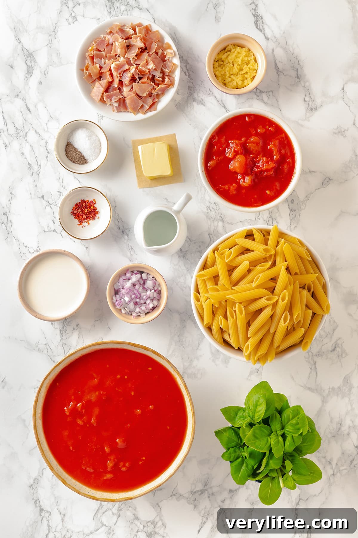 Overhead view of ingredients needed to make penne alla vodka