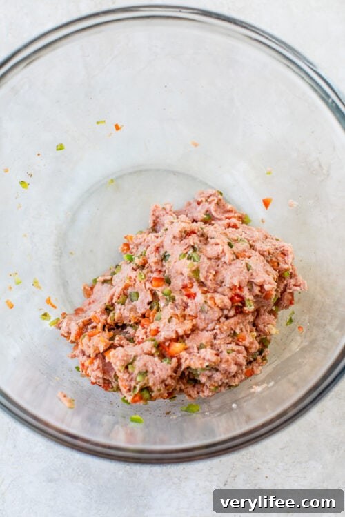 Homemade Italian Turkey and Chicken Sausage Recipe 6 Homemade Turkey Sausage