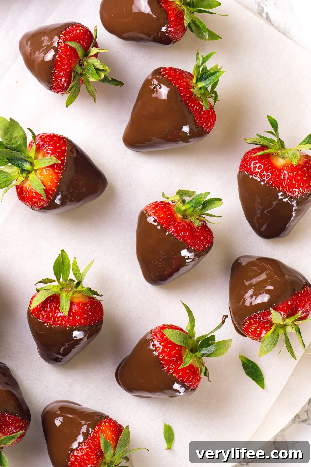 Chocolate-covered strawberries cooling Freshly dipped chocolate strawberries on wax paper