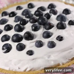Blueberry Cream Pie in a graham cracker crust