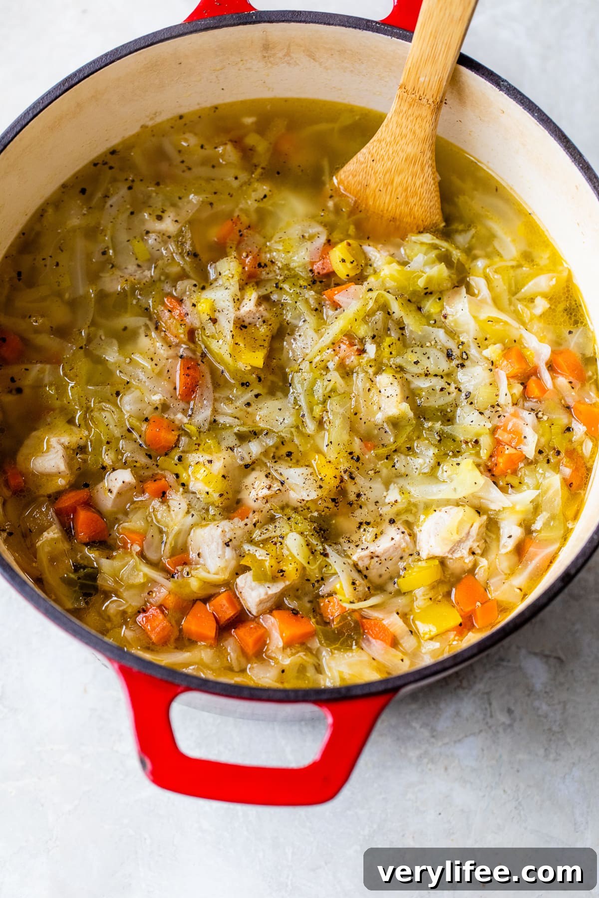 Hearty Chicken and Pork Cabbage Soup Recipe 3 Cabbage Soup with Chicken and Pork