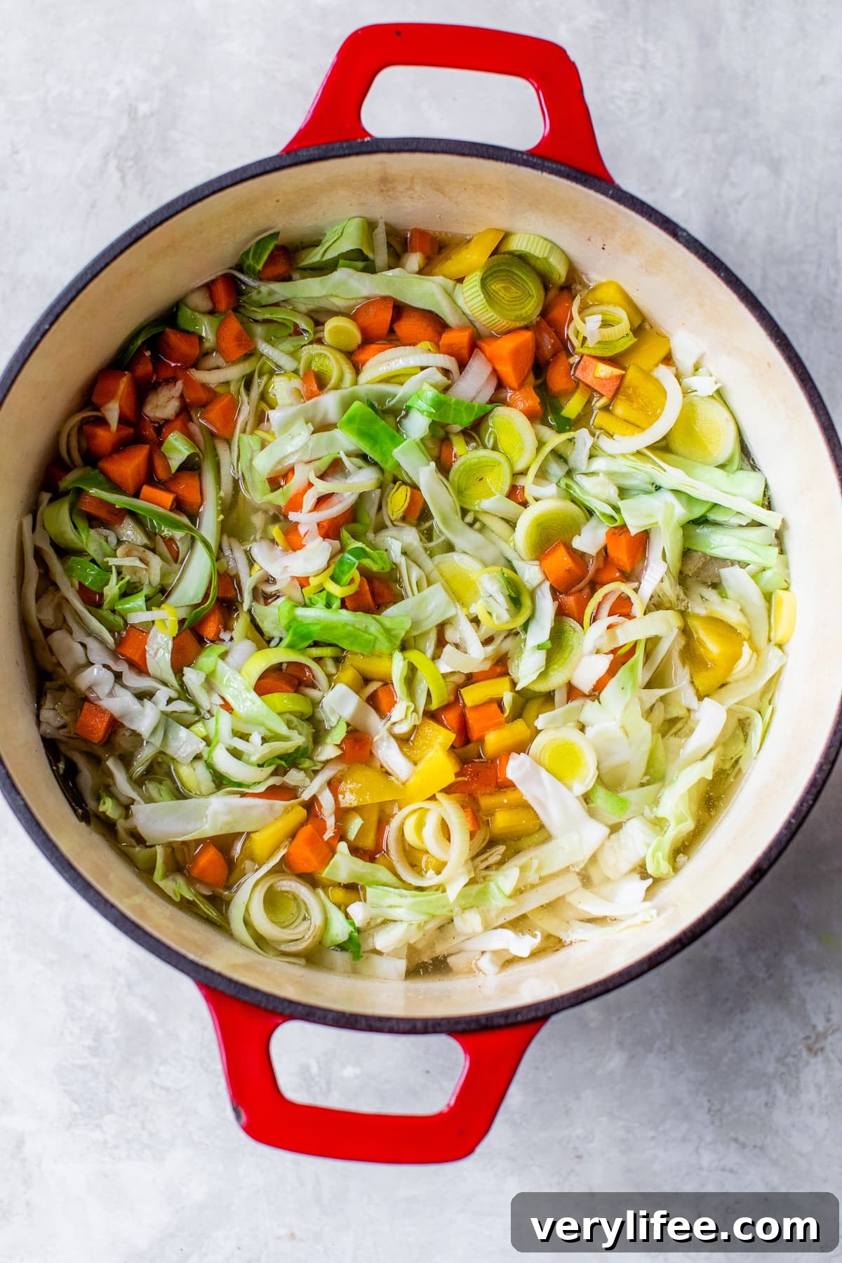 Hearty Chicken and Pork Cabbage Soup Recipe 5 Cabbage Soup with Chicken and Pork
