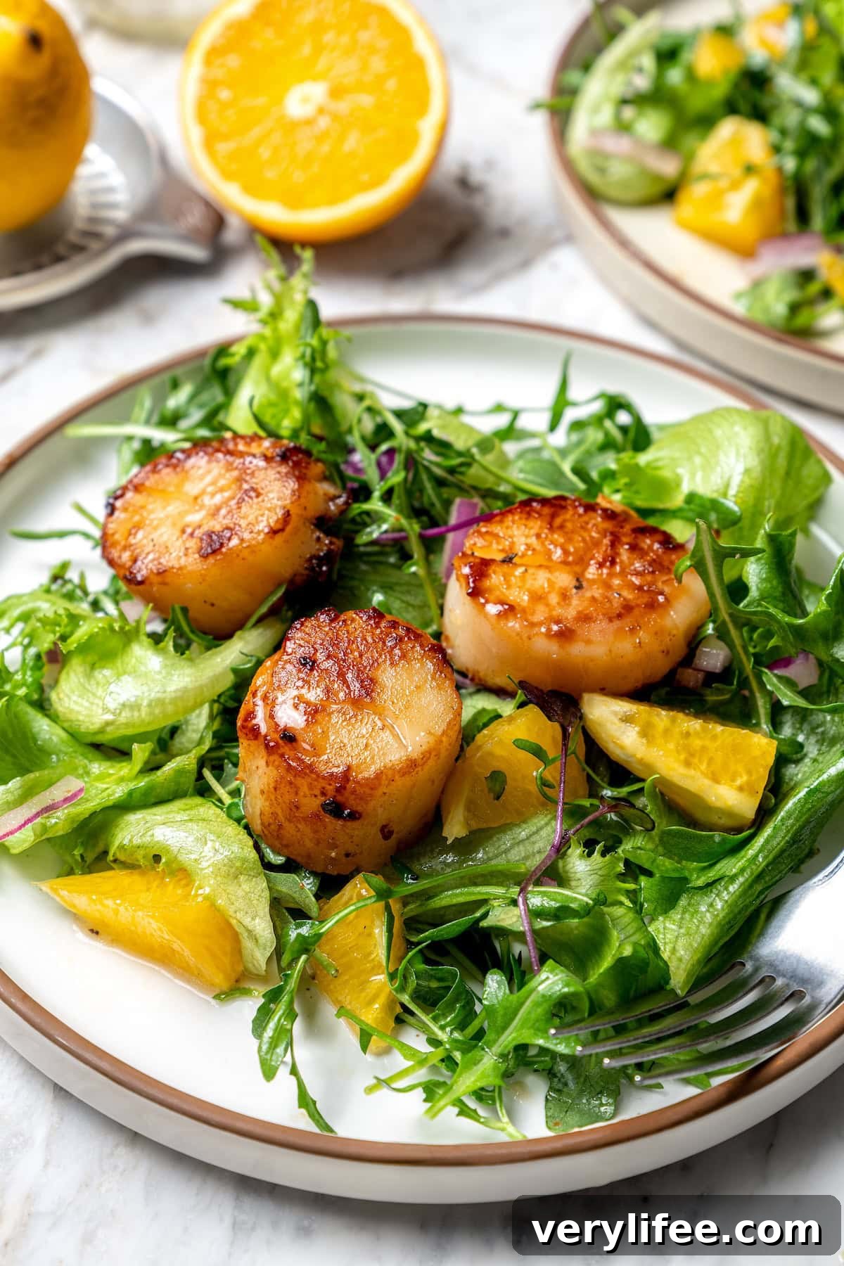 Seared scallops on plate with citrus salad