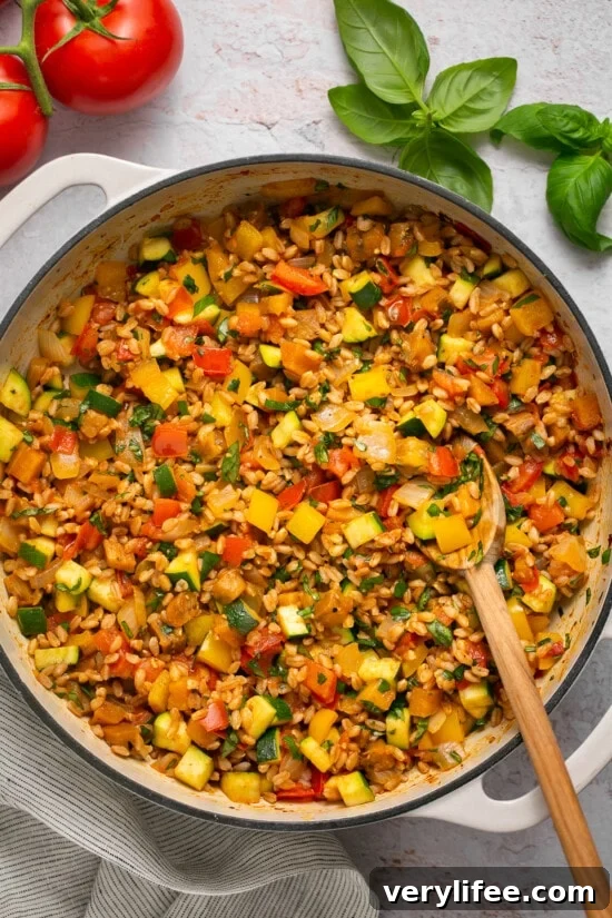 Ratatouille with Farro