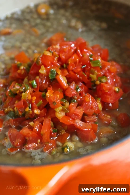 For busy families looking for delicious, healthy meals that will keep everyone’s stomachs full and happy, lentils and rice with eggs and bacon are economic, easy to prepare and make enough for plenty of leftovers!