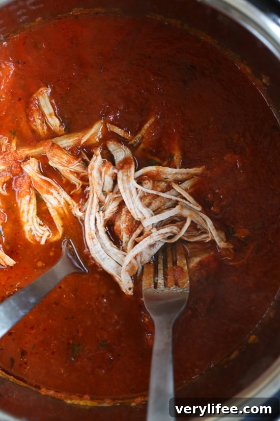 Pulled pork is not just for sandwiches, it's wonderful in this hearty sauce which is perfect over pasta, spaghetti squash or spiralized noodles.
