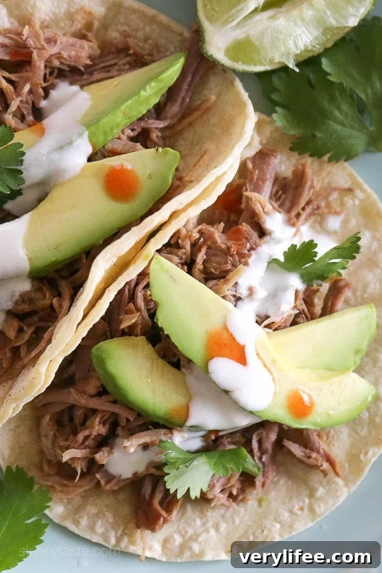 porkcarnitas-2