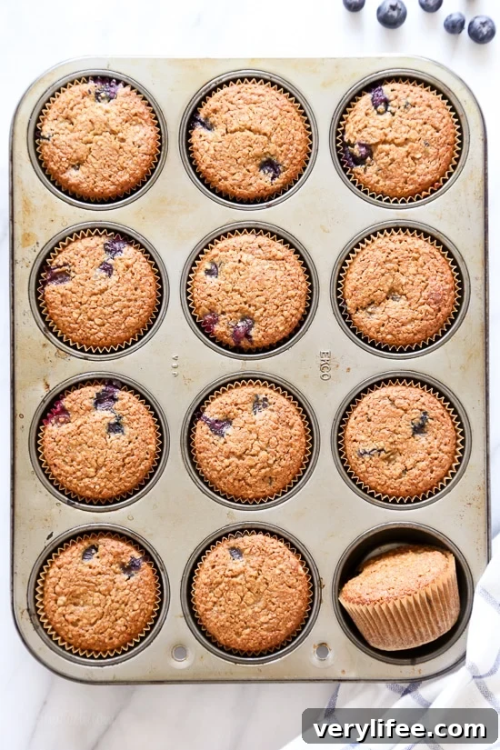 Blueberry Oatmeal Muffins close-up