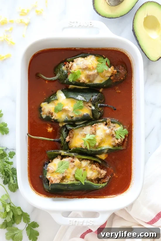 Turkey Enchilada-Stuffed Poblano Peppers 4 Turkey Enchilada Stuffed Poblanos Rellenos close-up