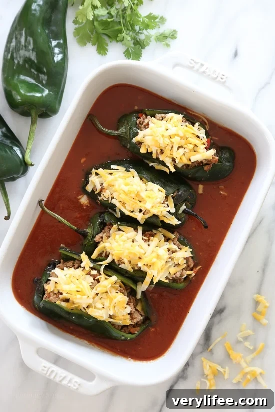 Turkey Enchilada-Stuffed Poblano Peppers 6 Finished Turkey Enchilada Stuffed Poblanos Rellenos
