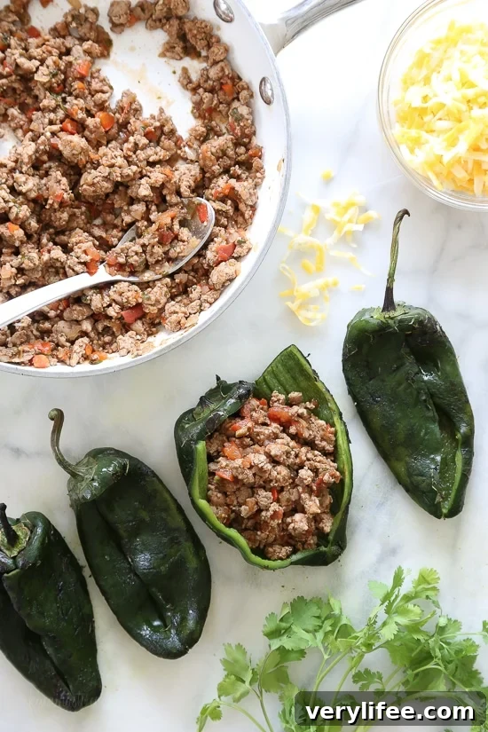 Turkey Enchilada-Stuffed Poblano Peppers 7 Another view of Turkey Enchilada Stuffed Poblanos Rellenos