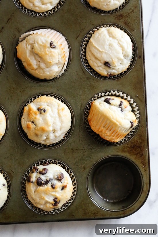These easy chocolate chip muffins are moist and high in protein thanks to the addition of Greek yogurt. The perfect to make ahead breakfast! Top-down view of chocolate chip muffins in muffin pan
