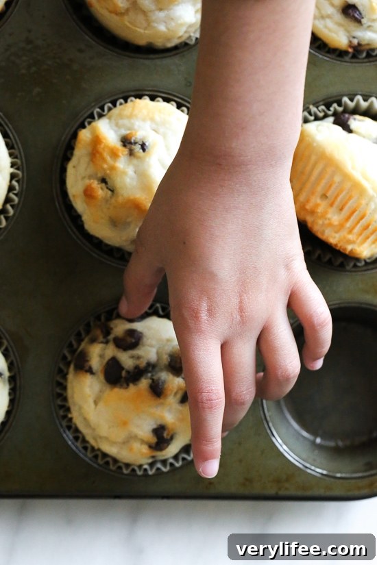 These easy chocolate chip muffins are moist and high in protein thanks to the addition of Greek yogurt. The perfect to make ahead breakfast! Hand reaching for chocolate chip muffin in pan