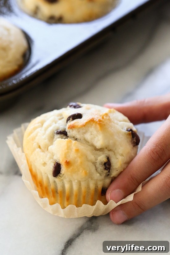 These easy chocolate chip muffins are moist and high in protein thanks to the addition of Greek yogurt. The perfect to make ahead breakfast! Hand grabbing healthy chocolate chip muffin