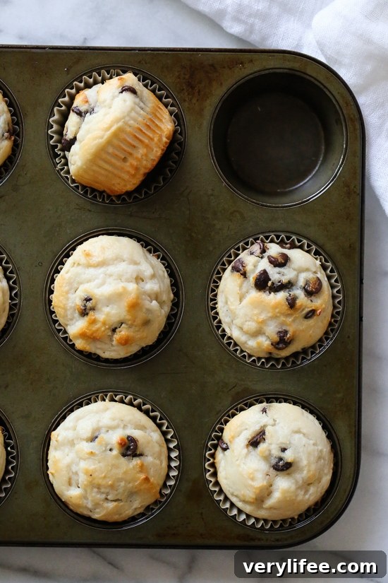These easy chocolate chip muffins are moist and high in protein thanks to the addition of Greek yogurt. The perfect to make ahead breakfast! Light and fluffy chocolate chip muffins in pan