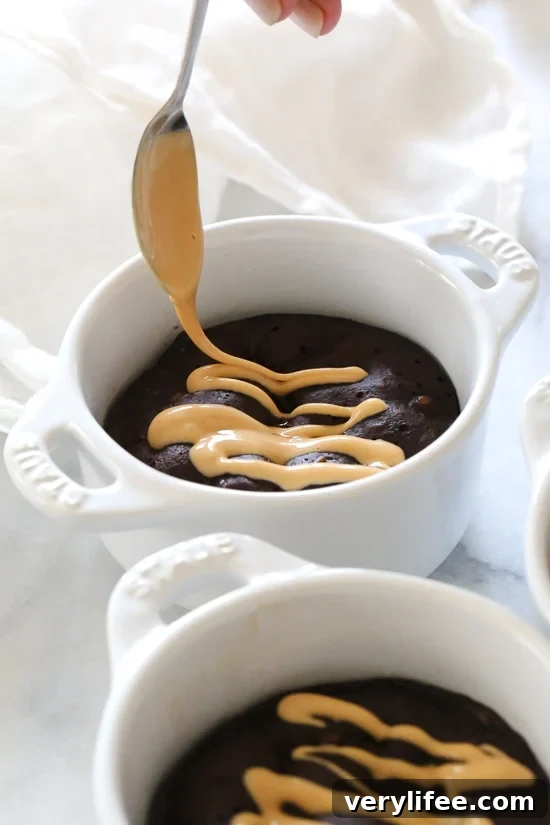 Preorder Skinnytaste One and Done - Free 40-Page + 4-Week Plan 2 Instant Pot PB Chocolate Cake