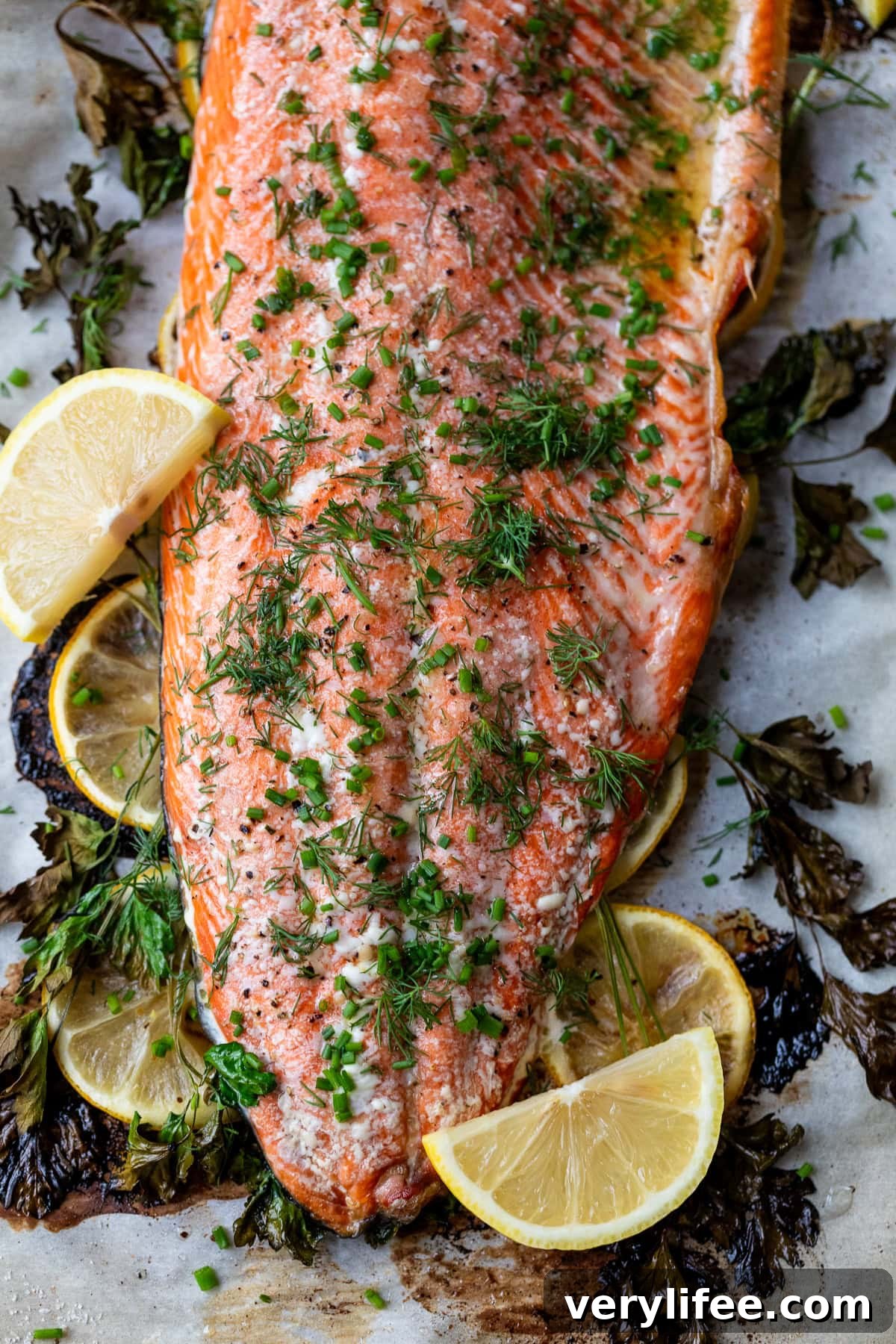 Lemon Garlic Oven-Baked Salmon Recipe 9 Baked Salmon