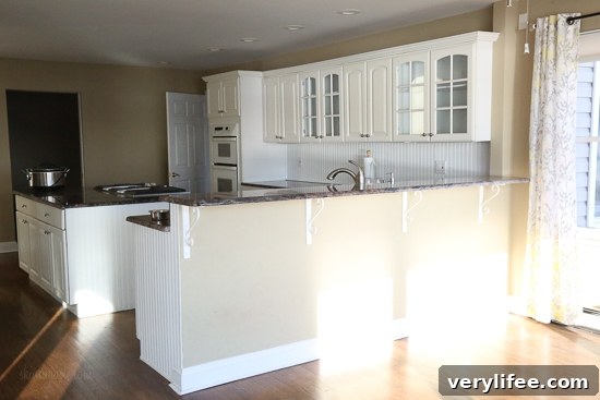 Kitchen and Home Remodel: Before and After Photos 10 Old Kitchen before photos