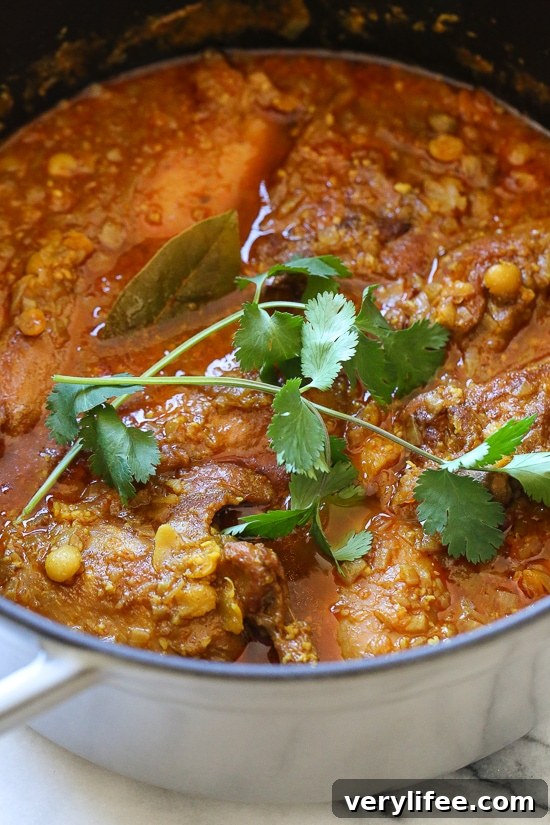 Chicken Dal Curry is a comforting Burmese stew made with yellow lentils, chicken, ginger, turmeric, curry and spices.