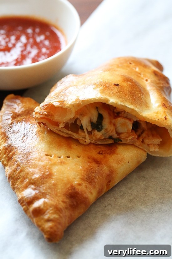 Preorder Skinnytaste Air Fryer Cookbook: Free 39-Page Bonus 5 Air Fryer Chicken Parm Calzone
