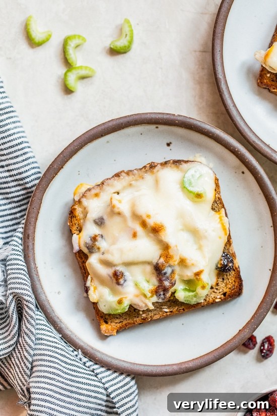 Open-Faced Turkey Melts make a quick and easy way to use up your Thanksgiving turkey leftovers!