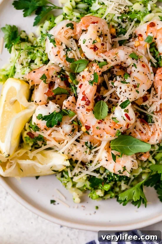 25 Viral Skinnytaste Recipes That Defined 2019 16 This quick and easy Shrimp Scampi with Broccoli Orzo is a dish the whole family will love and it's ready in under 30 minutes!