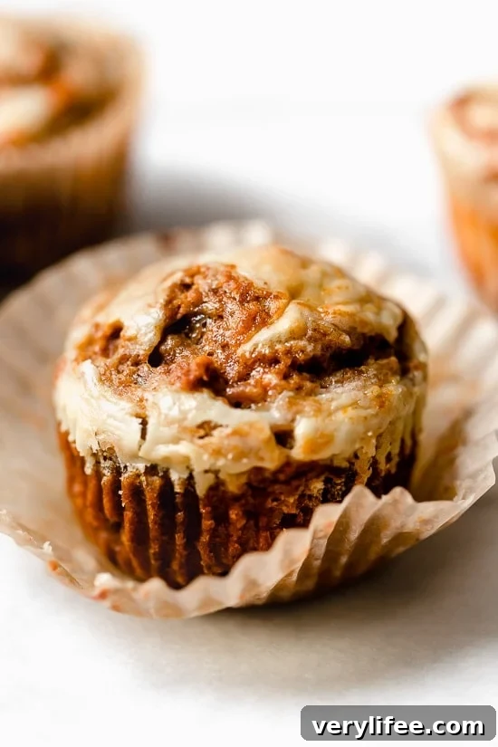 25 Viral Skinnytaste Recipes That Defined 2019 25 Easy Pumpkin Muffin Recipe