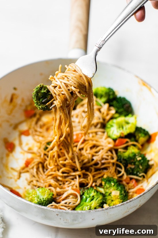 Sesame Ginger Soba Noodle Stir-Fry with Vegetables 4 This spicy Soba Noodle Veggie Stir Fry is a quick and easy meal for one, and perfect as a dairy-free, vegetarian dinner.