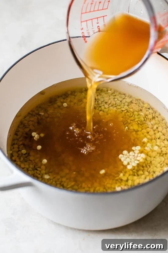 Big pot of lentil soup