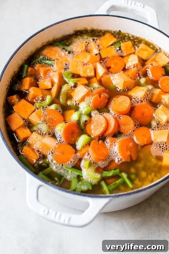 Serving of Lebanese Lentil Soup