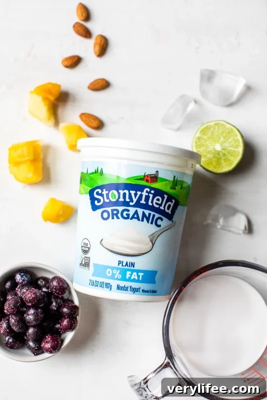 Tropical Lassi is a healthy, Indian yogurt drink blended with frozen mango, tart blueberries and spices.