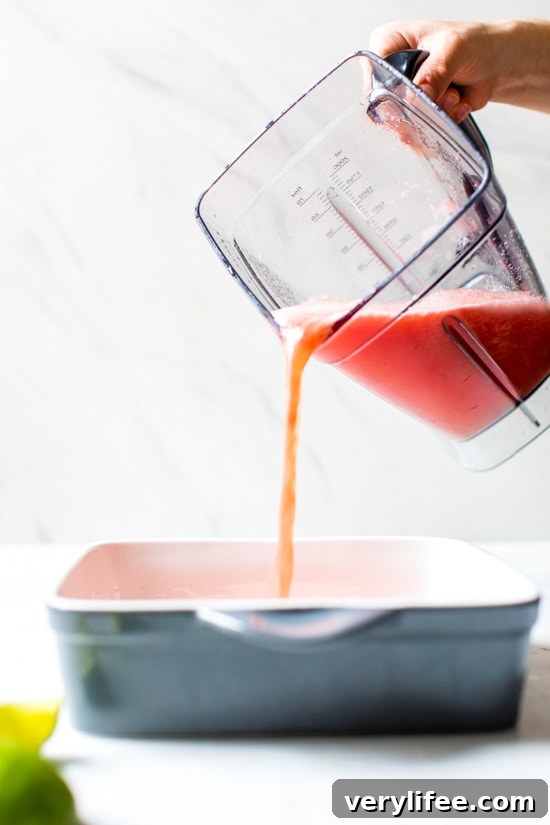 Spiked Watermelon Lime Granita Recipe 4 Blender with pureed watermelon