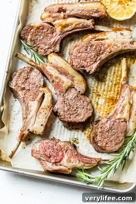 Frenched Rack of Lamb on a sheet pan