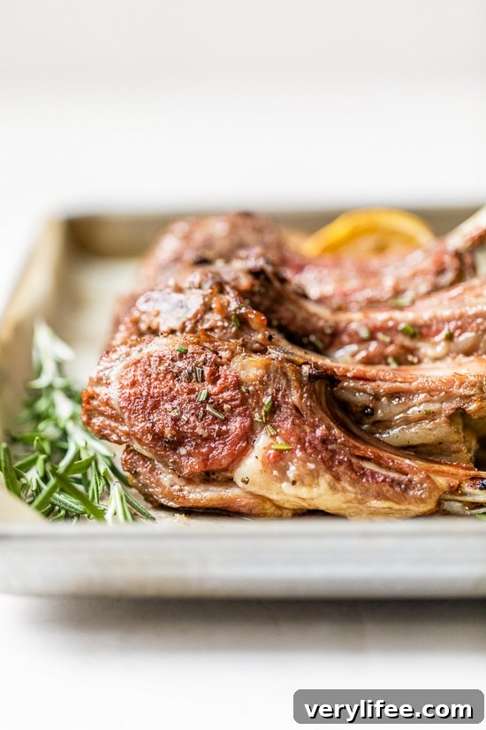 Frenched Rack of Lamb on a sheet pan with rosemary.