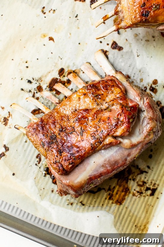 cooled rack of lamb
